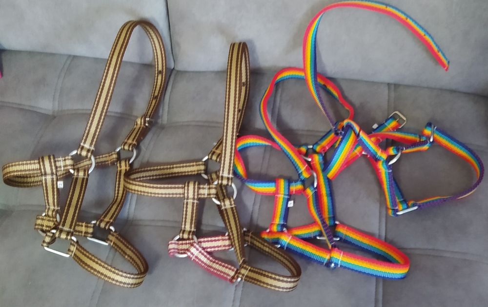 Kantary uprząż na konie zimnokrwiste