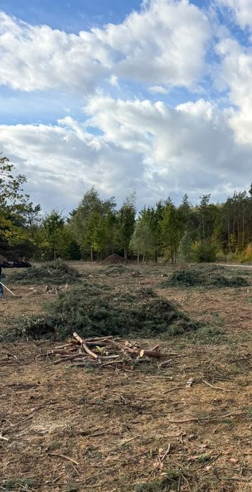 Oddam zrębki sosnowe - okolice Siedlec( Żelków, Teodorów, Skórzec)