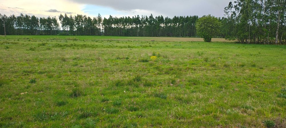 Atrakcyjna działka sprzedaż