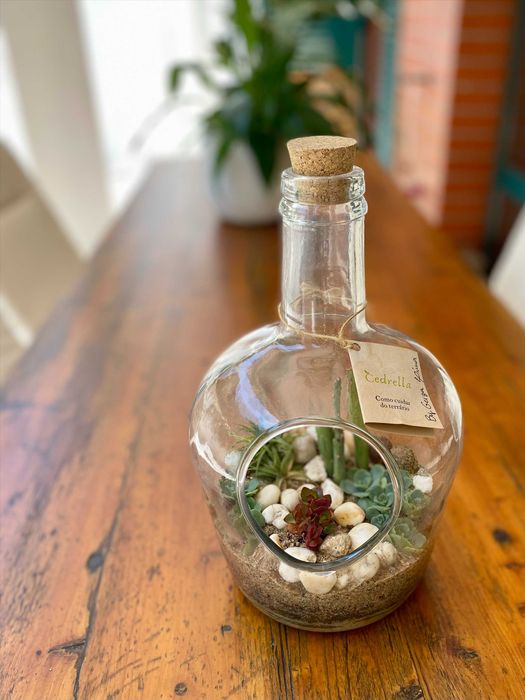 Terrário de plantas suculentas naturais em garrafão de vidro