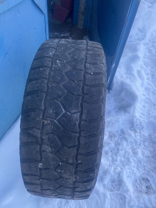 Шини 35/12.5 R20  Herculec M/S