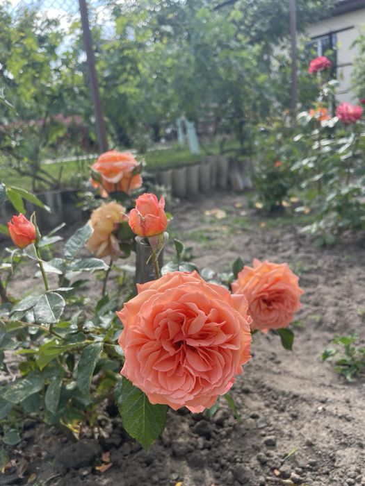 Дача с новым домом. Выход на реку и в лес Орловщина