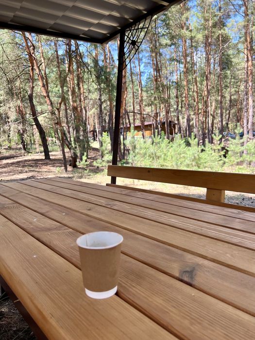 База відпочинку «ДНІПРО» у лісі, біля ріки Орель ПРОДАЖ