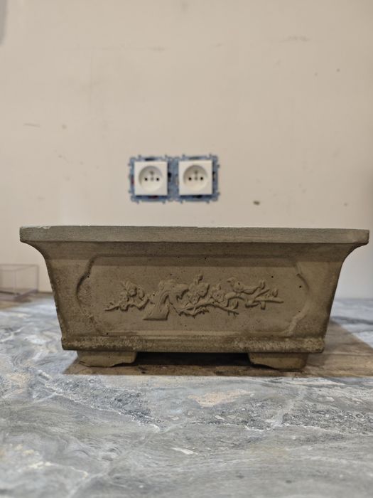 Doniczka w stylu bonsai, własna robota