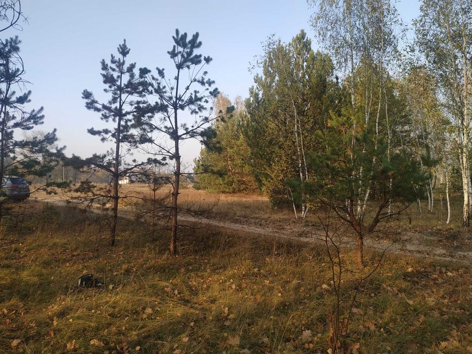 Продам ділянку 20 соток під забудову біля лісу с. Жукин