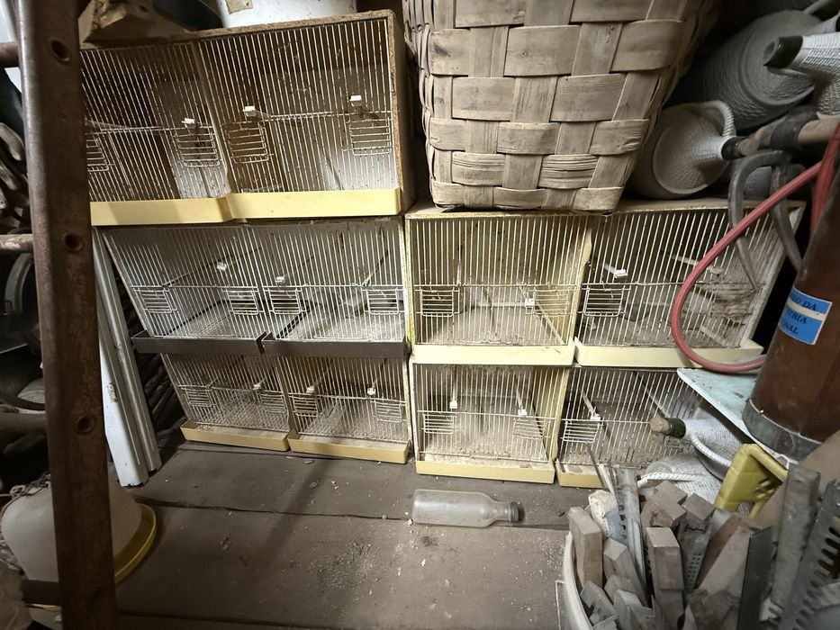 Gaiolas para passaros