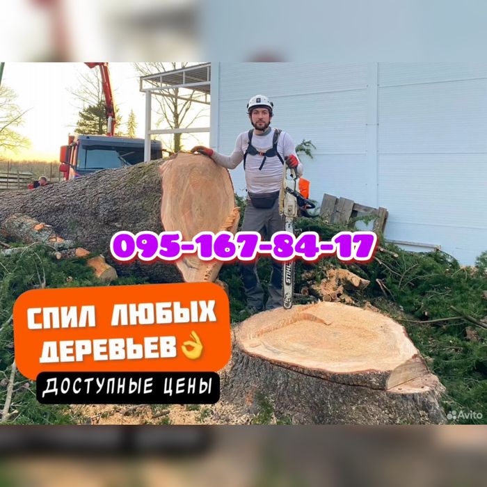 Спил деревьев любой сложности