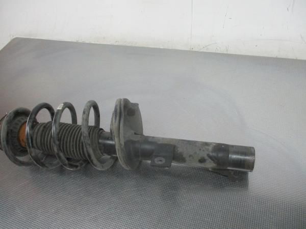 Amortecedor frente direito FORD Transit Connect I (P65_, P70_, P80_)