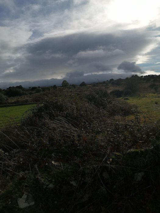 Terreno rústico Escalhão