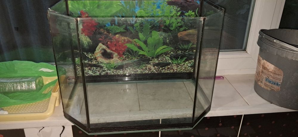 Акваріум на 65 л
