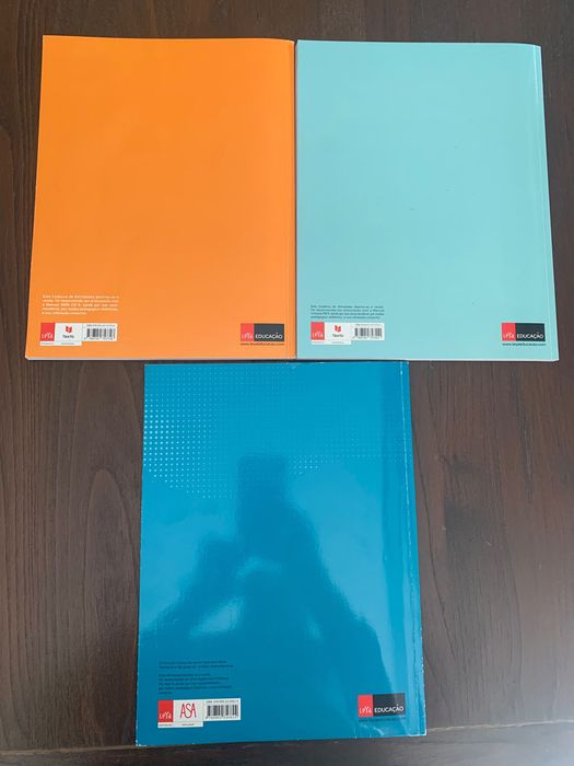 Cadernos de exercícios 9 ano