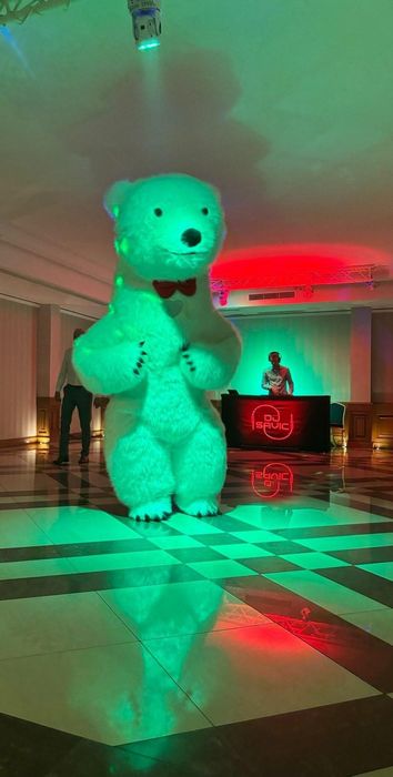 Pogodny Biały Miś Niespodzianka Na Każdą Imprezę