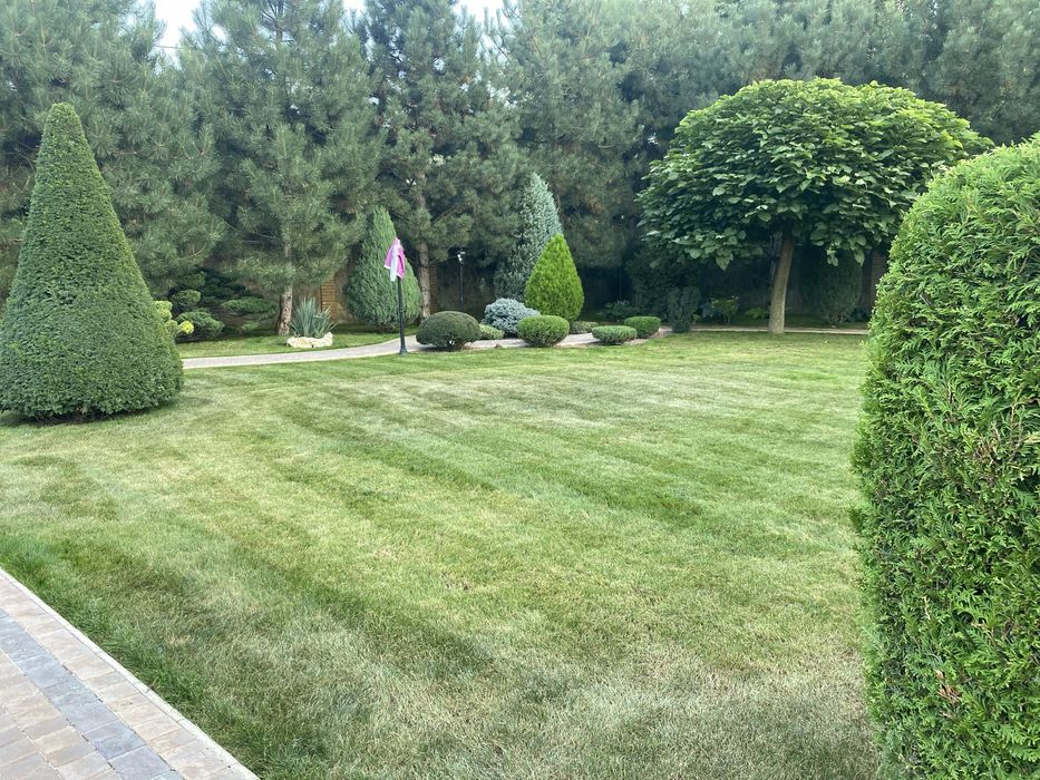 Стрижка газона,аэрация,скарификация, стрижка хвойных растений