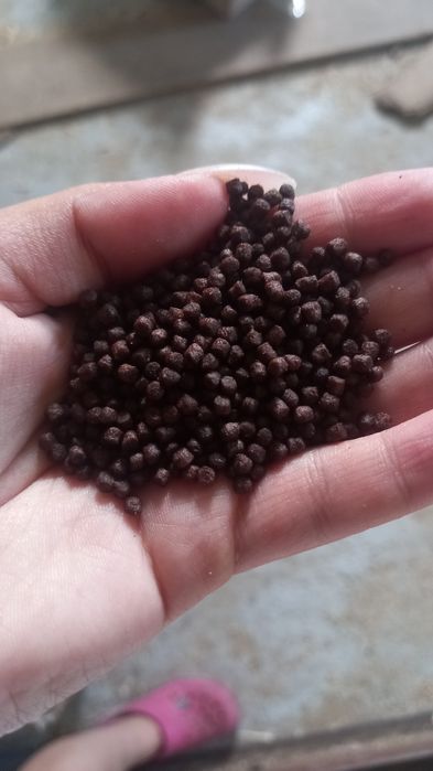 Корм для карпов кои