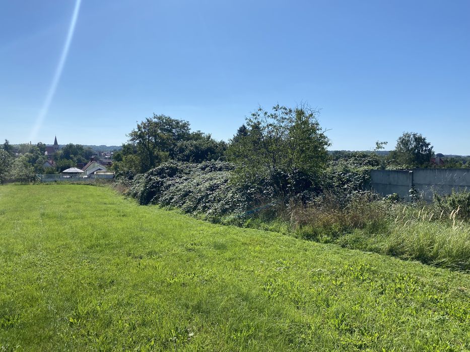 MULCZOWANIE MULCZER oczyszczanie terenu z trawy samosiejek drzew pni