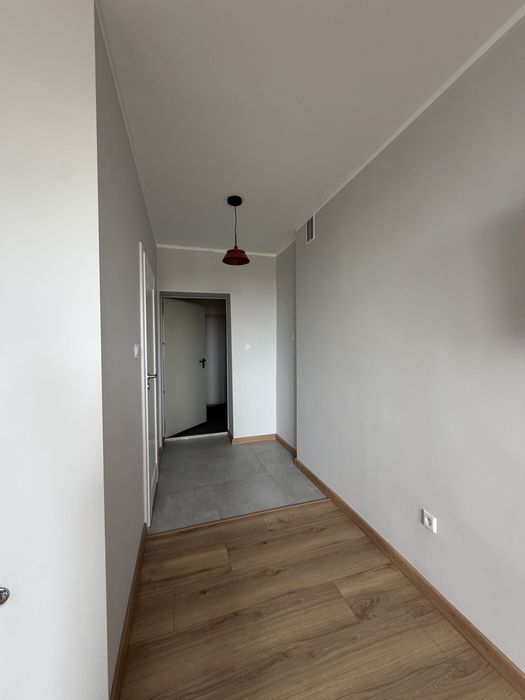 Biuro/biura w centrum miasta