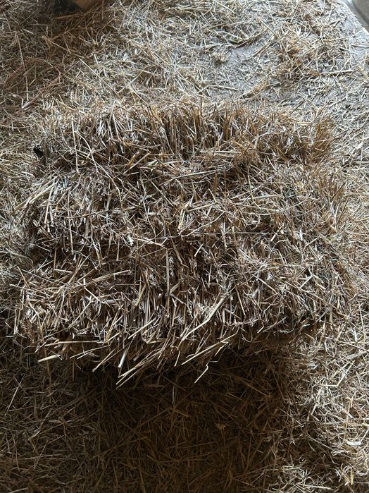 Słoma kostka(pszeniczna)