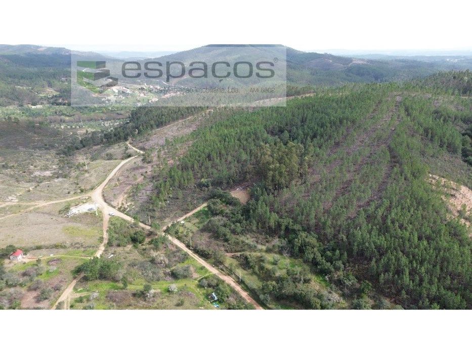 Terreno Rústico Venda Castelo Branco