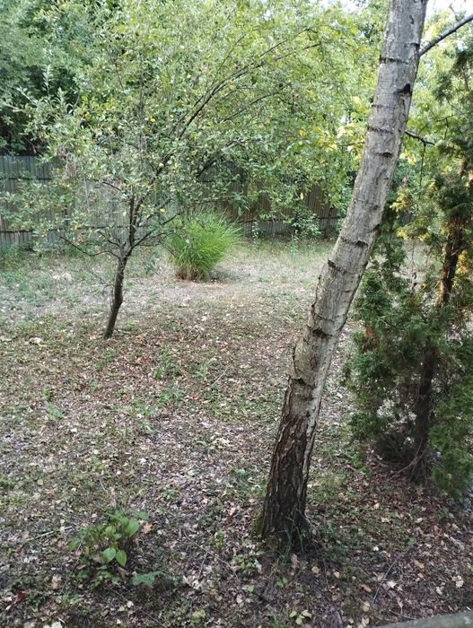 Продам дом Закарпатье Гать возле леса