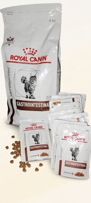 сухий та вологий корм Royal Canin Gastrointestinal 2 кг