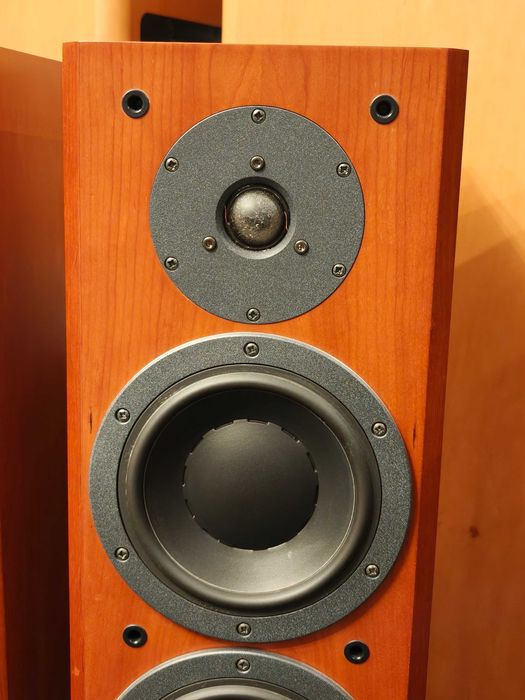 DYNAUDIO FOCUS 220 ! Legendarne kolumnu podłogowe ! TOP