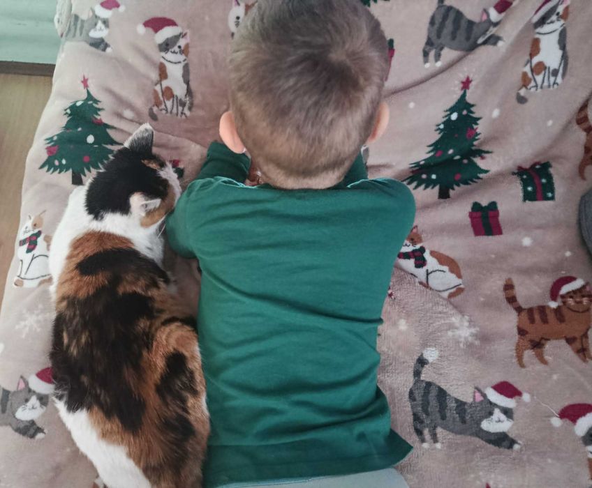 Urocza kotka Mafra szuka domku