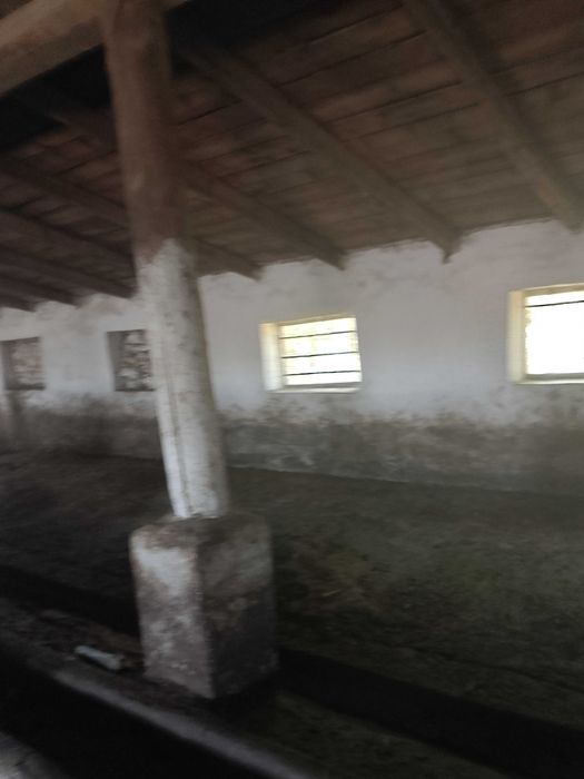 С/Х ферма(Свиноферма)