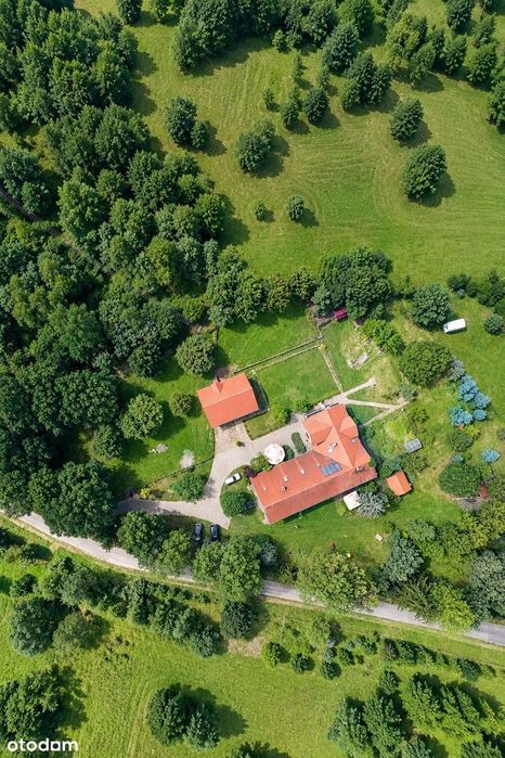Dom na sprzedaż, Złocieniec (gw), 10 pokoi