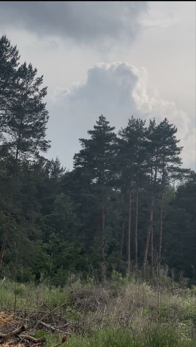 Продаж ділянки в Брюховичах