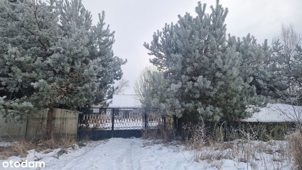 Na sprzedaż siedlisko z domem do remontu – 3000 m²