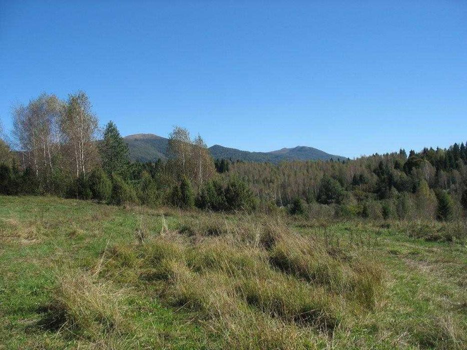 Piękna działka leśna Bieszczady