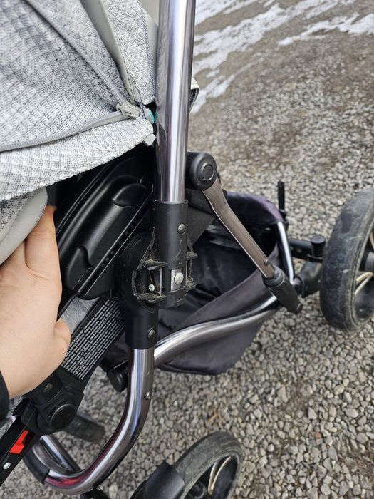 Bebetto bresso  premium