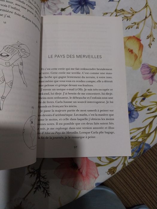 Every thing Every thing ( francês). Portes incluídos