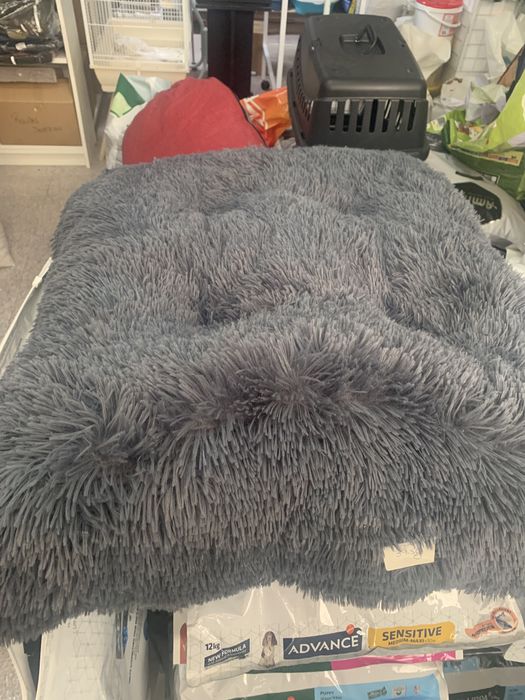 Camas para cão ou gato