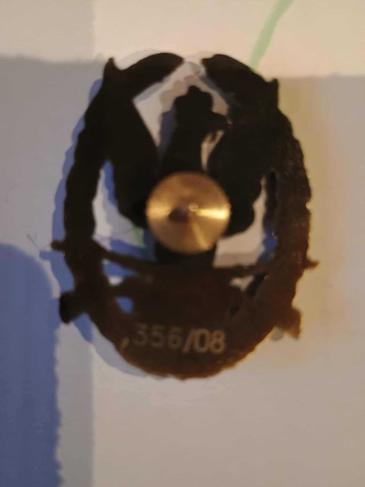 Odznaczenia wzorowy żołnierz + buńczuk sił zbrojnych