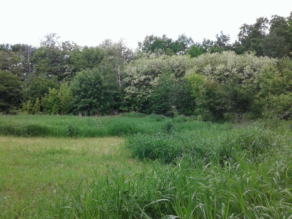 Продаж будинку Макіївка