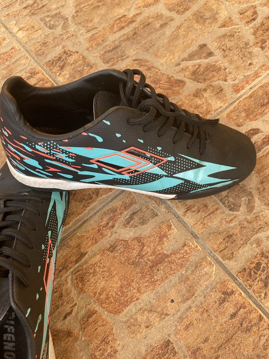 Сороконіжки  в ідеальному стані