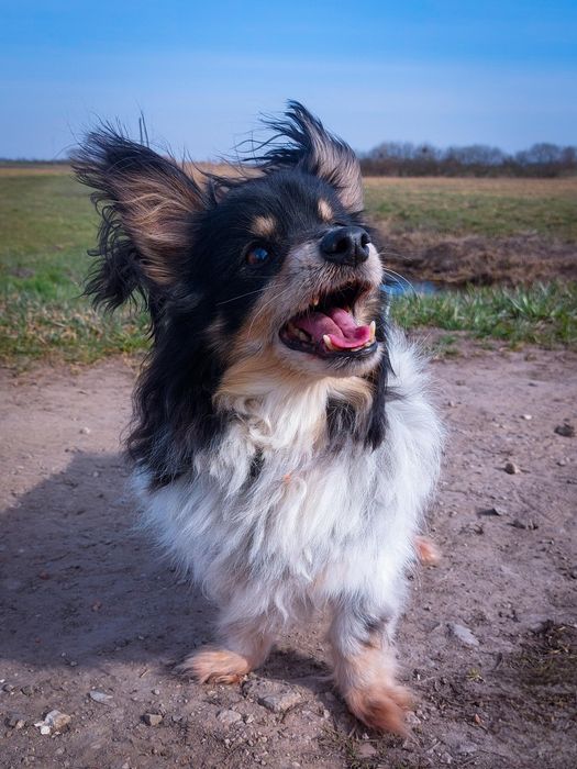 Naprawdę nikt ? PILNE