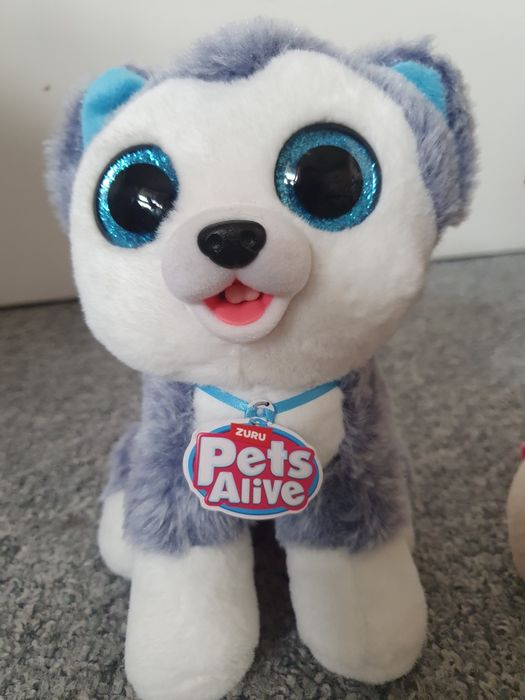 Pieski pets alive