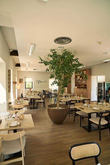 Conjunto de Mesas e Cadeiras para Restaurante/Café – Design Moderno