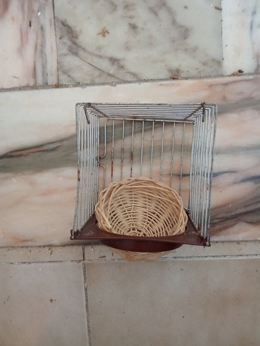 Ninho para canários