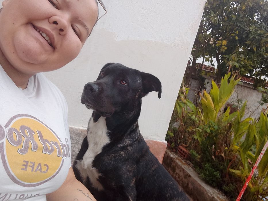 Zeus para adoção responsável