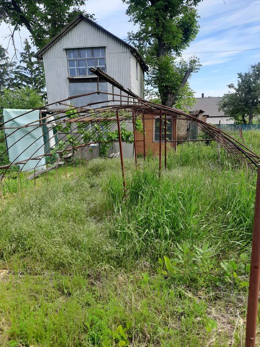 Дача товариство Мрія