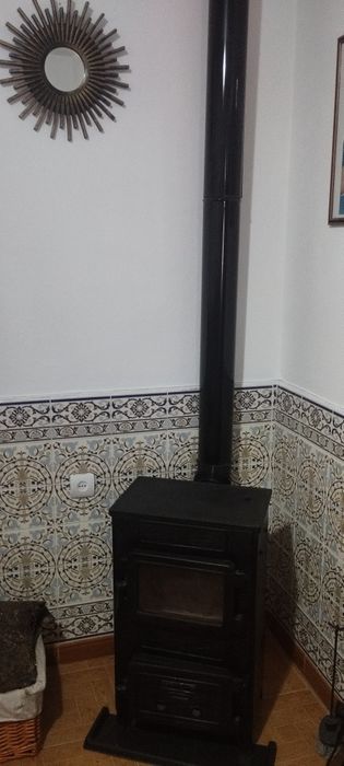 Salamandra Rustica