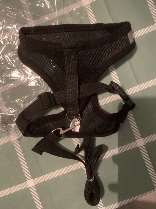 Новая шлейка с поводком для кота