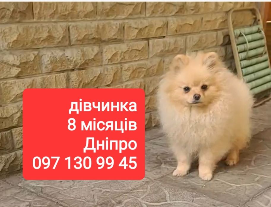 Дніпро 8 місяців