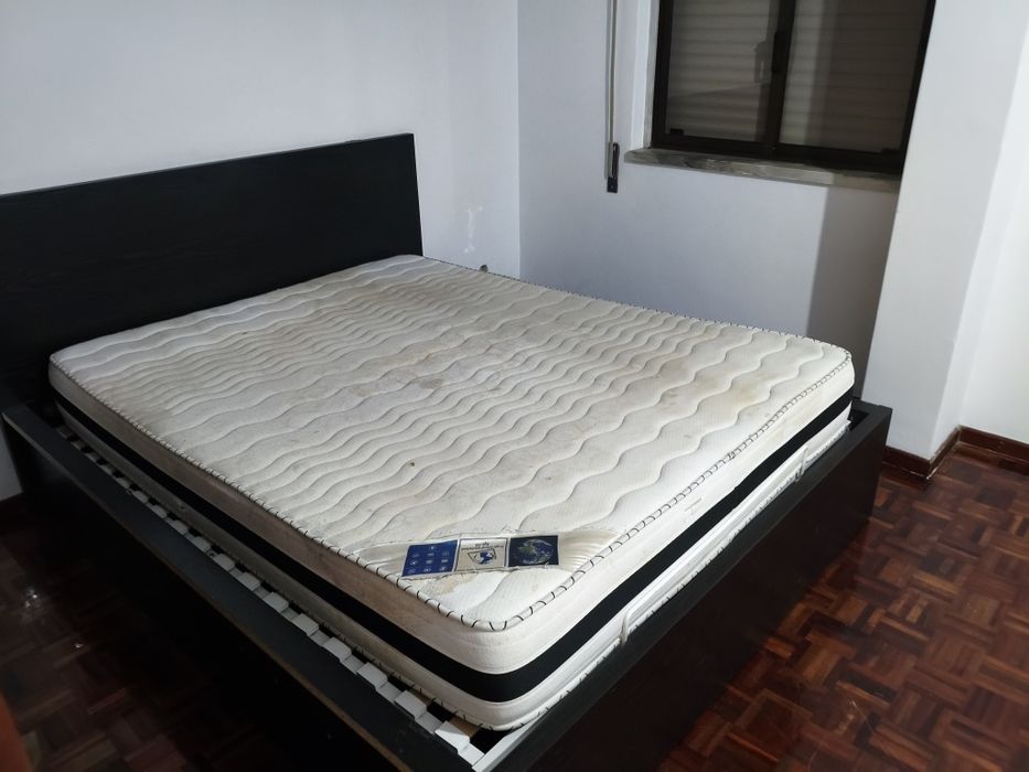 Alugo T1 Sao Carlos