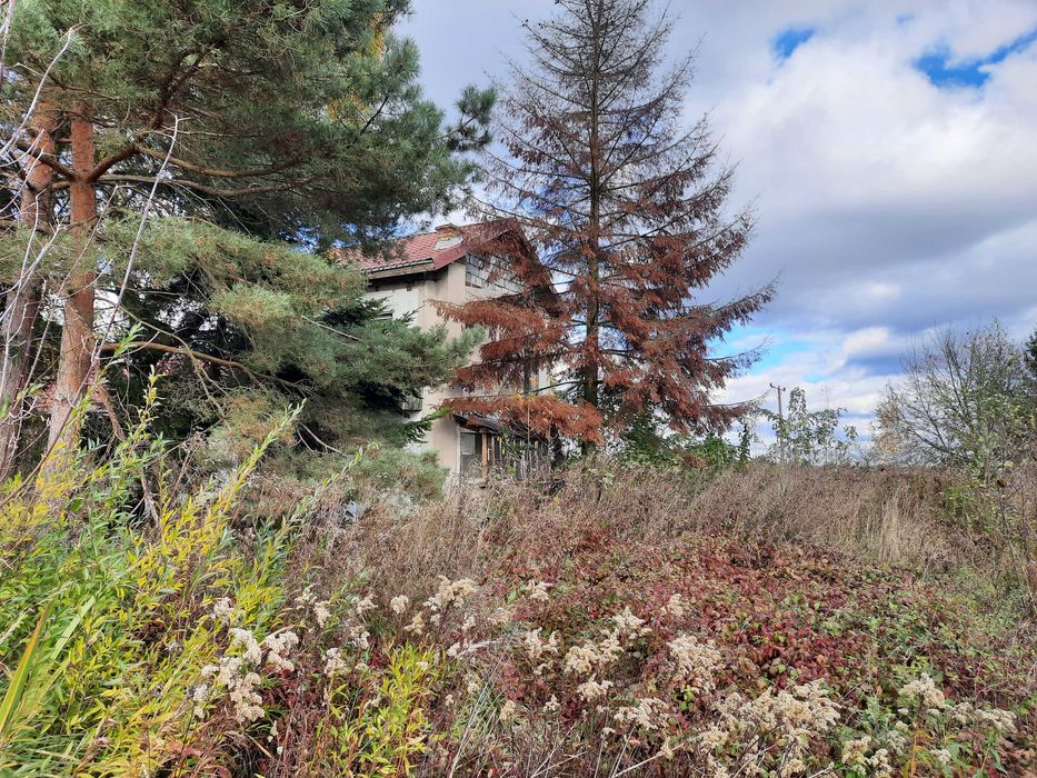 Siedlisko z potencjałem i dostępem do jeziora - Mozolice Małe 7024 m² - 360tys. - Widok 5