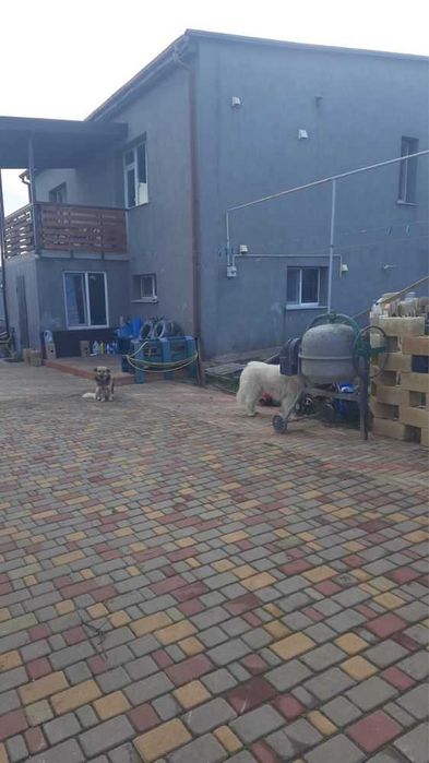 Дом Нерубайское выгодная цена