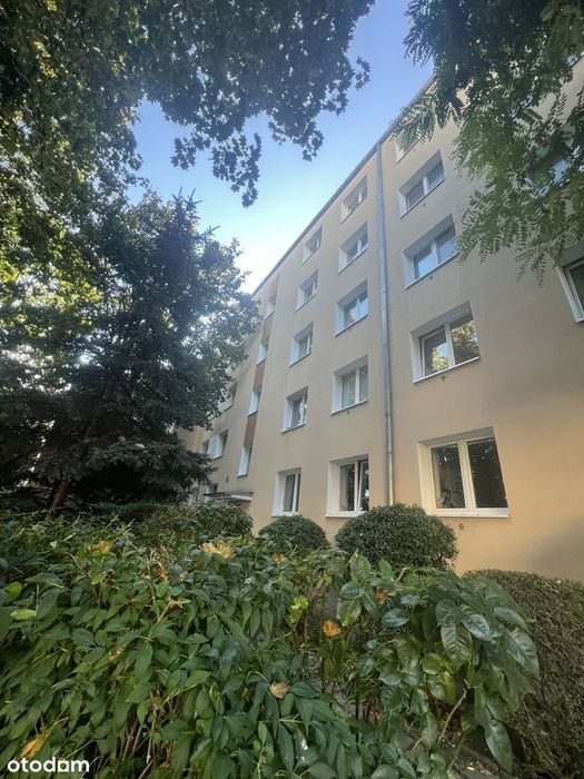 Zdjęcie 2